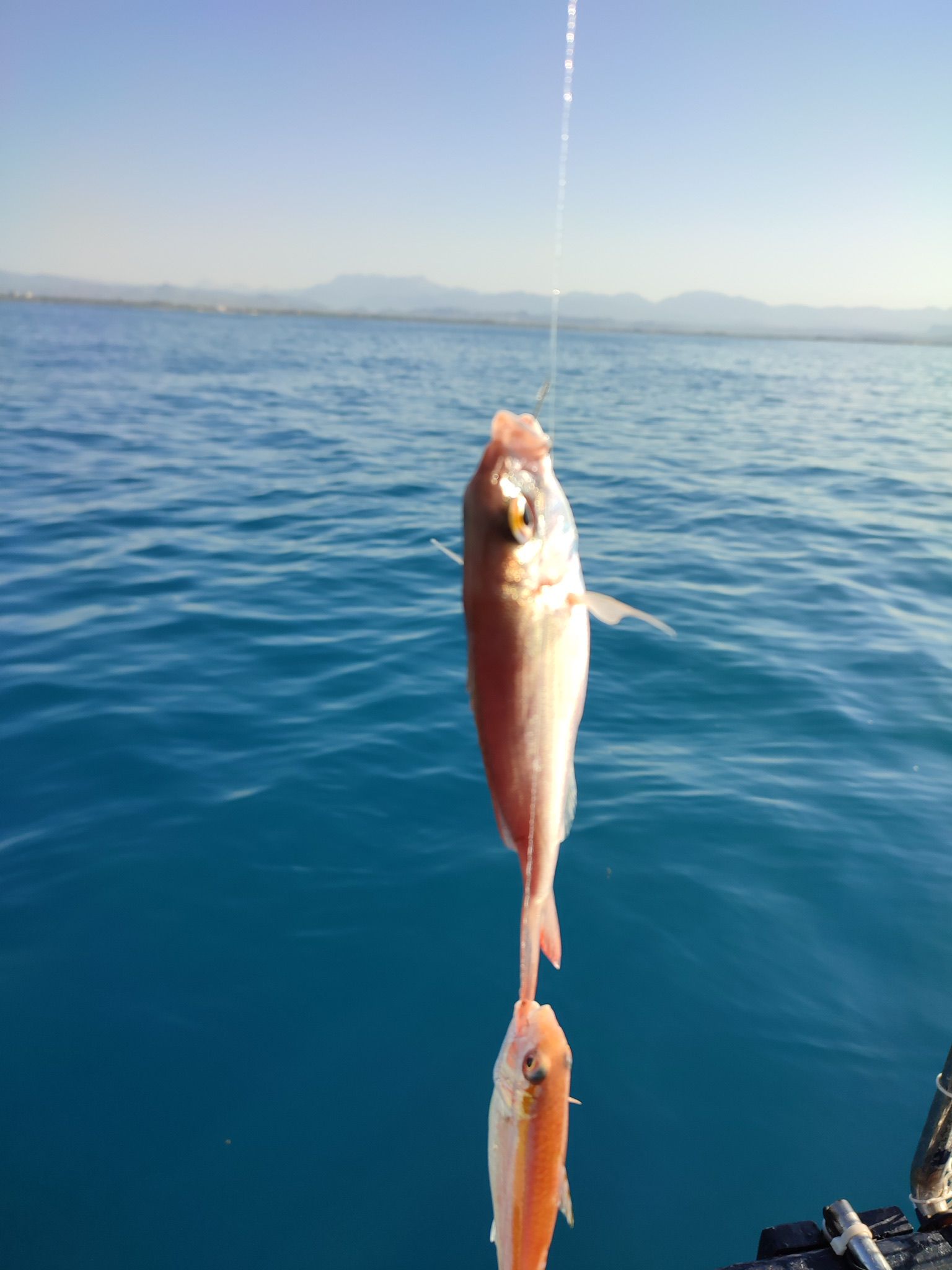 Avsallar Fishing gallery