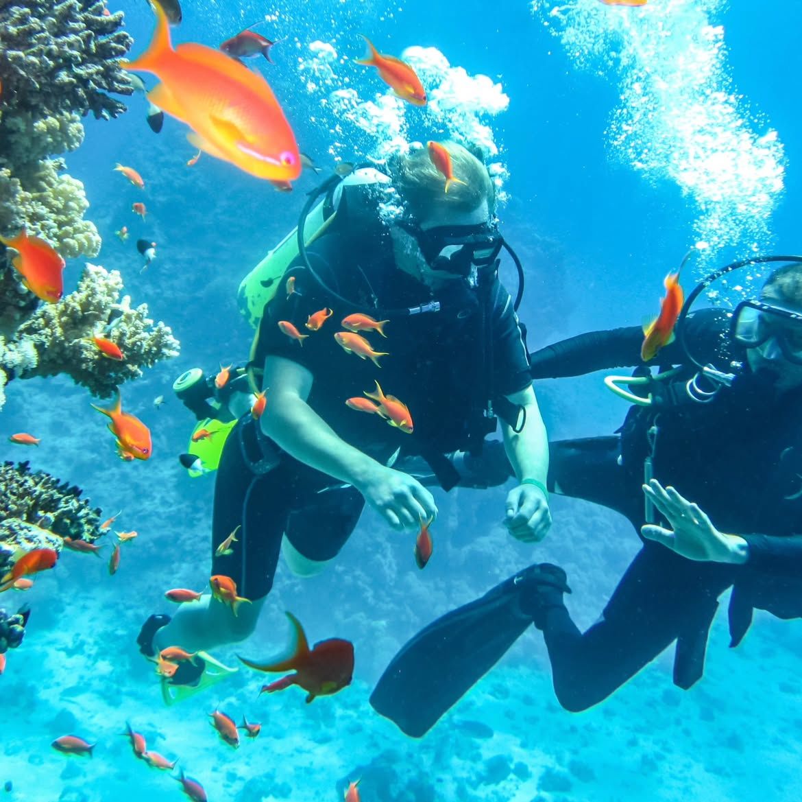 Konakli Diving gallery